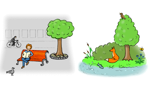 Environnement et nature