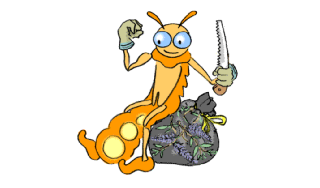 Remplacer l’arbre à papillons