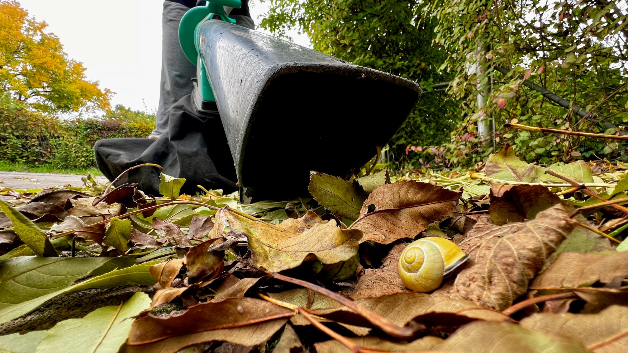 Souffleurs de feuilles : impacts sur la santé et l’environnement