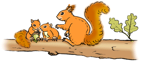 Trois écureuils