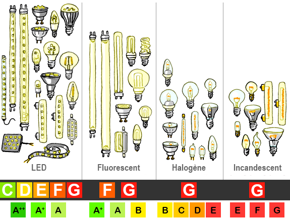 Ampoule LED ou halogène : laquelle choisir ?